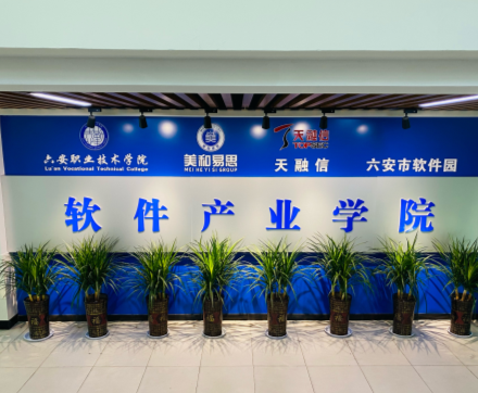 软件产业学院